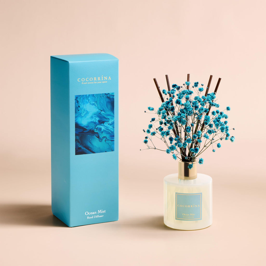 COCORRÍNA Reed Diffuser - Apple Cider 3.38 fl oz Reed Diffuser for Bedroom Bathroom Home Décor