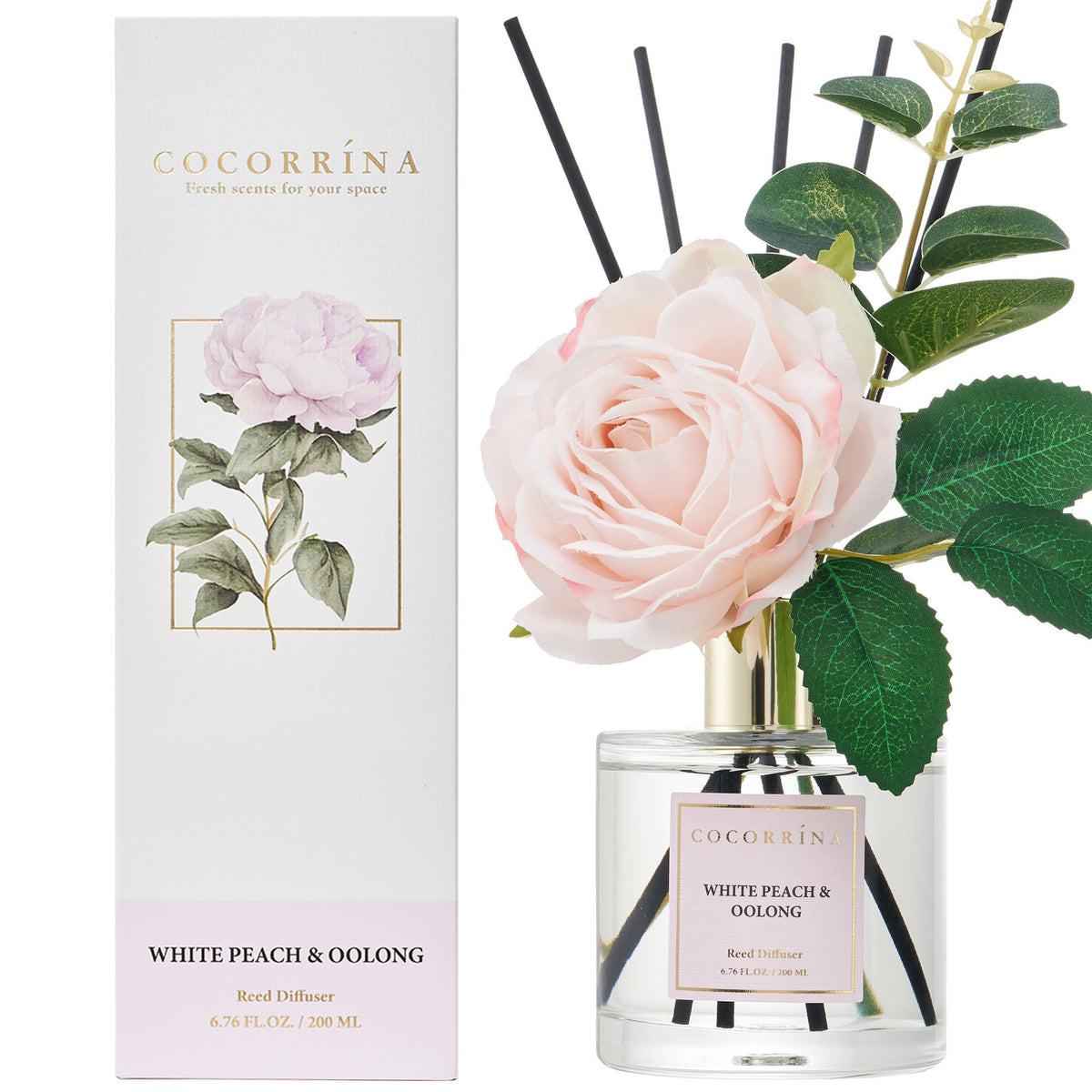COCORRÍNA Reed Diffuser - Apple Cider 3.38 fl oz Reed Diffuser for Bedroom Bathroom Home Décor