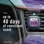 Febreze Car Vent Clip, Downy Calm Scent, 2 Count, 0.13 oz Total