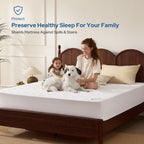 BEDLORE Waterproof Mattress Protector, Queen Size Mattress Pad Noiseless