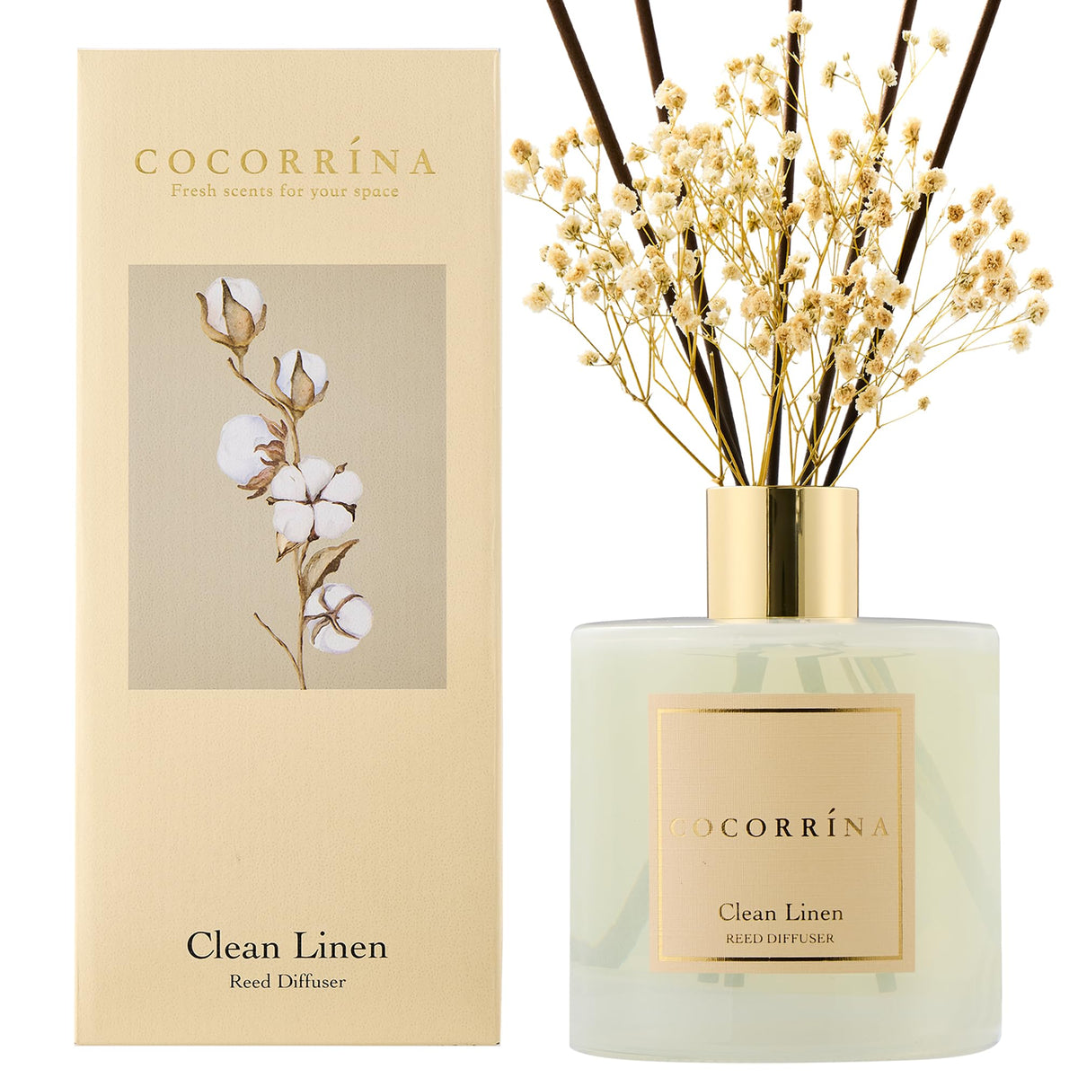 COCORRÍNA Reed Diffuser - Apple Cider 3.38 fl oz Reed Diffuser for Bedroom Bathroom Home Décor
