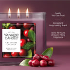 Yankee Candle Amber & Sandalwood Scented Candle, 14.5oz 3-Wick