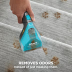 Shark StainStriker Portable Carpet/Upholstery Cleaner, 4 Tools, PX202BRN