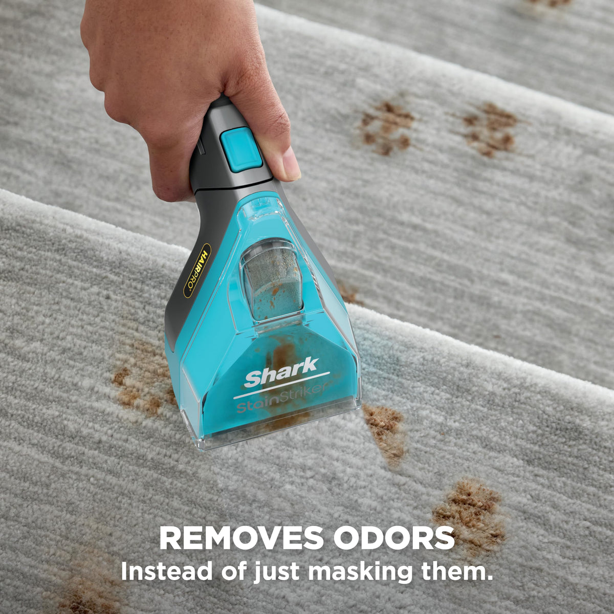 Shark StainStriker Portable Carpet/Upholstery Cleaner, 4 Tools, PX202BRN