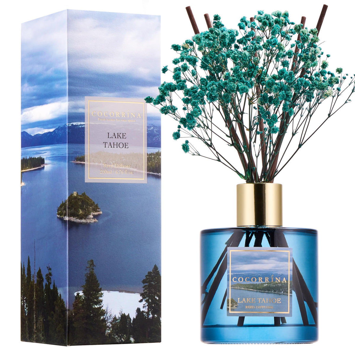 COCORRÍNA Reed Diffuser - Apple Cider 3.38 fl oz Reed Diffuser for Bedroom Bathroom Home Décor