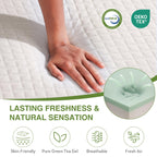 EGOHOME Twin Mattress 14 Inch, Green Tea Memory Foam Mattress, Medium Plush