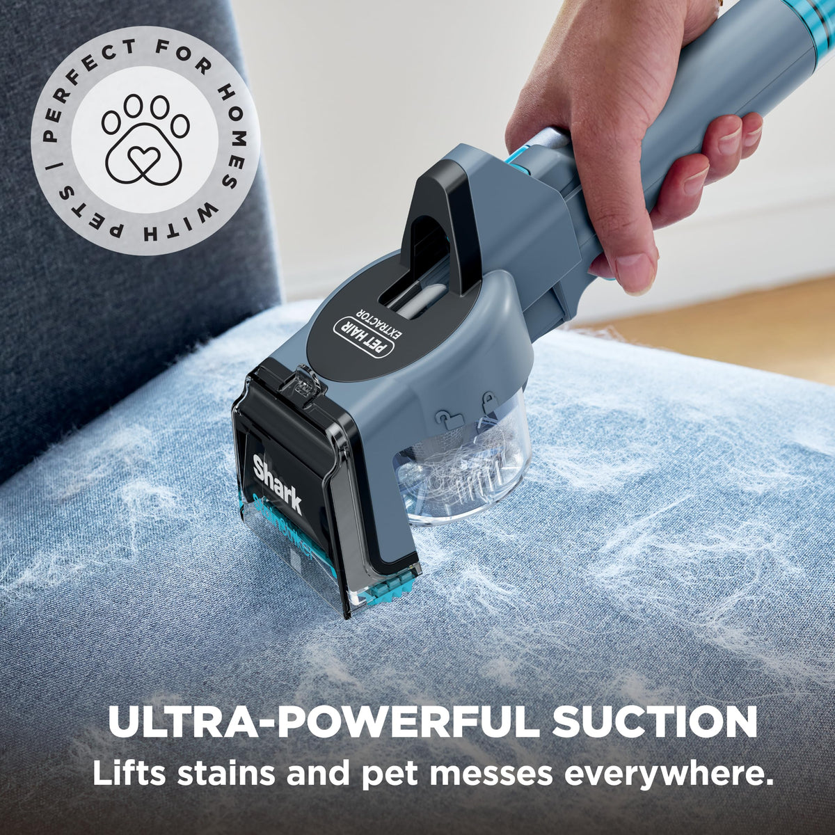 Shark StainStriker Portable Carpet/Upholstery Cleaner, 4 Tools, PX202BRN