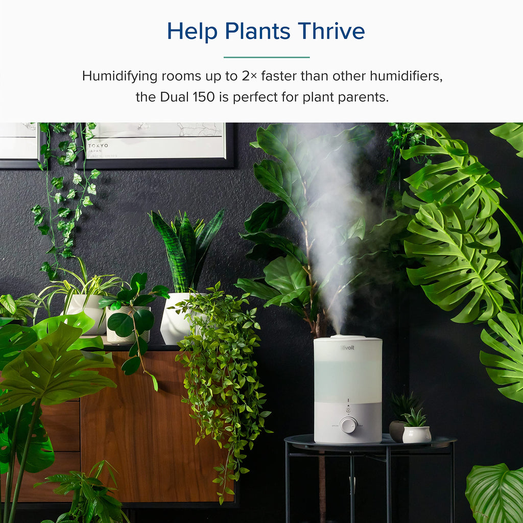 Levoit Top Fill Humidifiers for Bedroom, 2.5L Tank for Large Room, 25dB