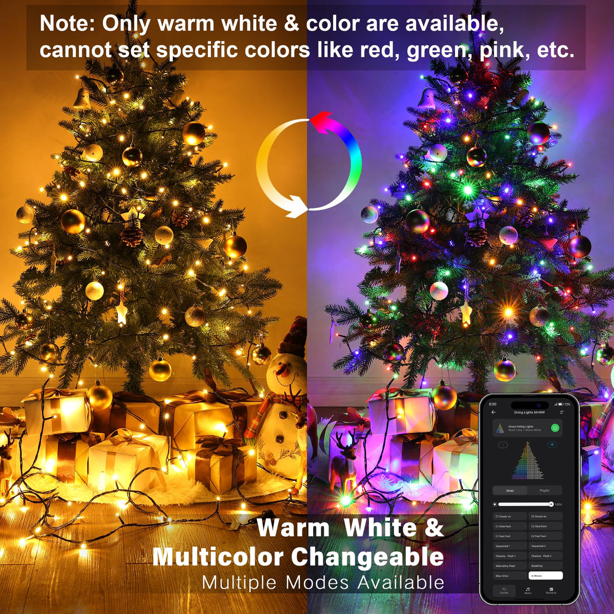 Brizled LED Halloween Lights Indoor Outdoor Orange & Purple String Light