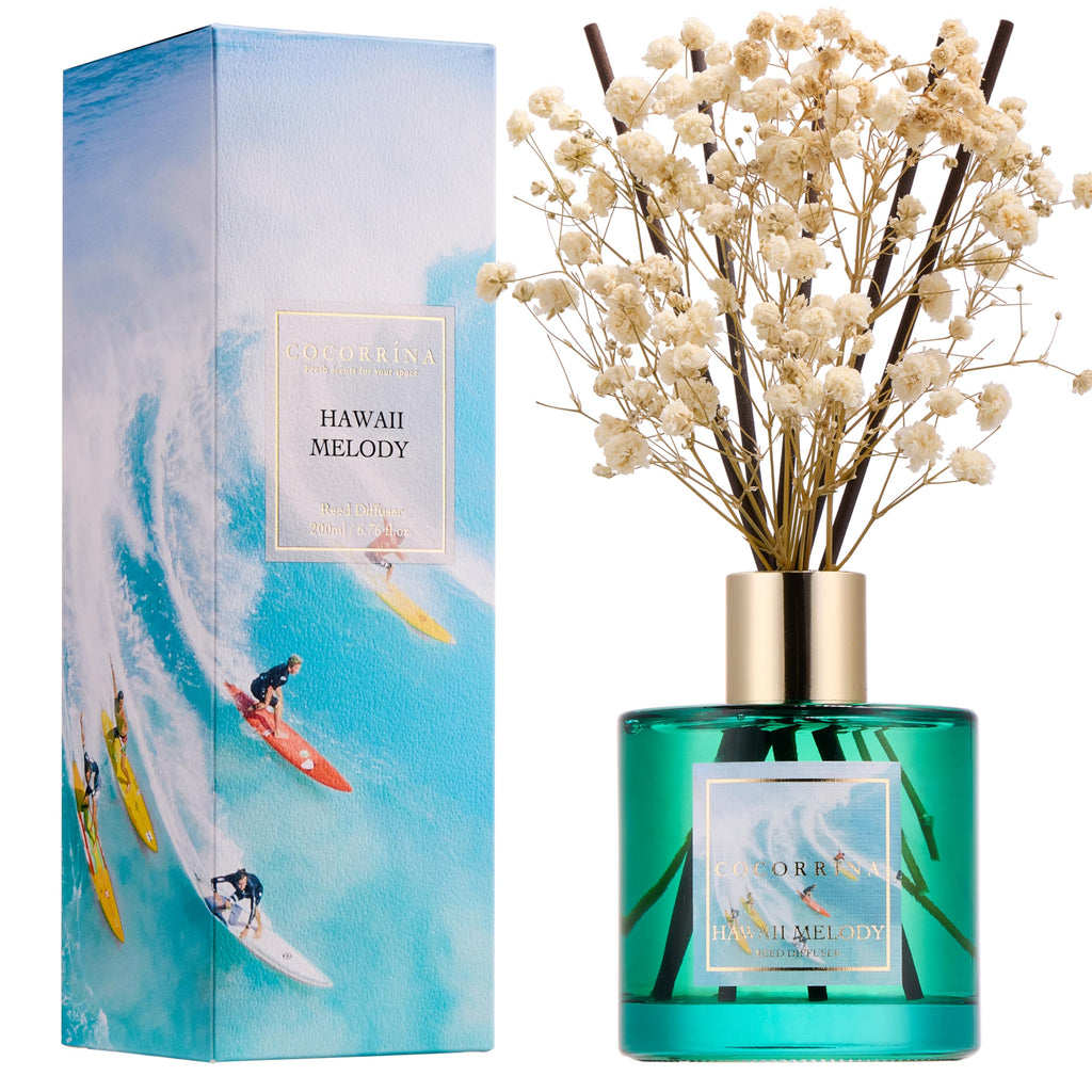 COCORRÍNA Reed Diffuser - Apple Cider 3.38 fl oz Reed Diffuser for Bedroom Bathroom Home Décor