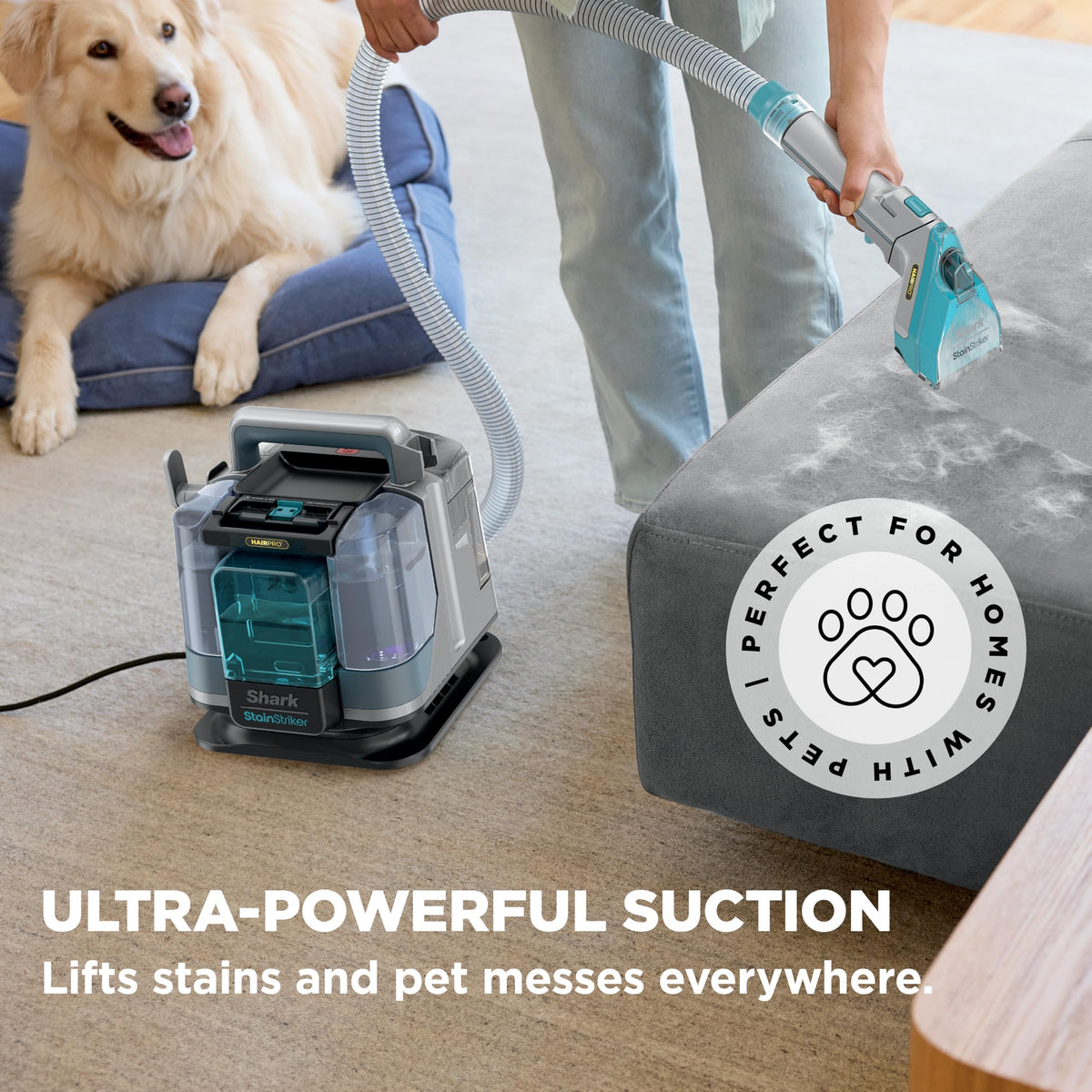 Shark StainStriker Portable Carpet/Upholstery Cleaner, 4 Tools, PX202BRN