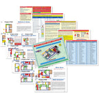 SNAP CIRCUITS Classic SC-300 STEM Electronics Kit, 300+ Projects, Ages 8+
